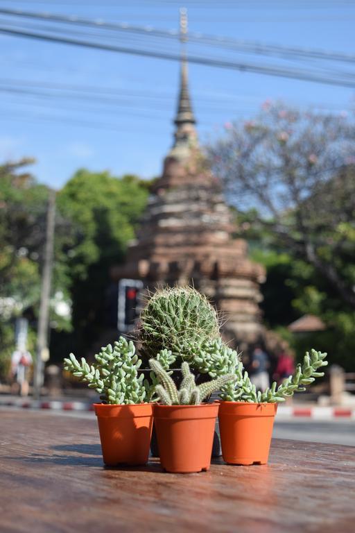 See You Soon, Chiang Mai Dış mekan fotoğraf